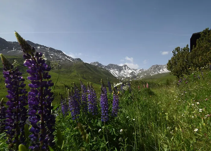 Apartmán Christina 7 *